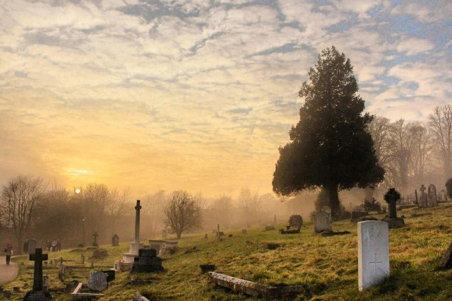 Opties voor milieuvriendelijke begrafenissen en crematies